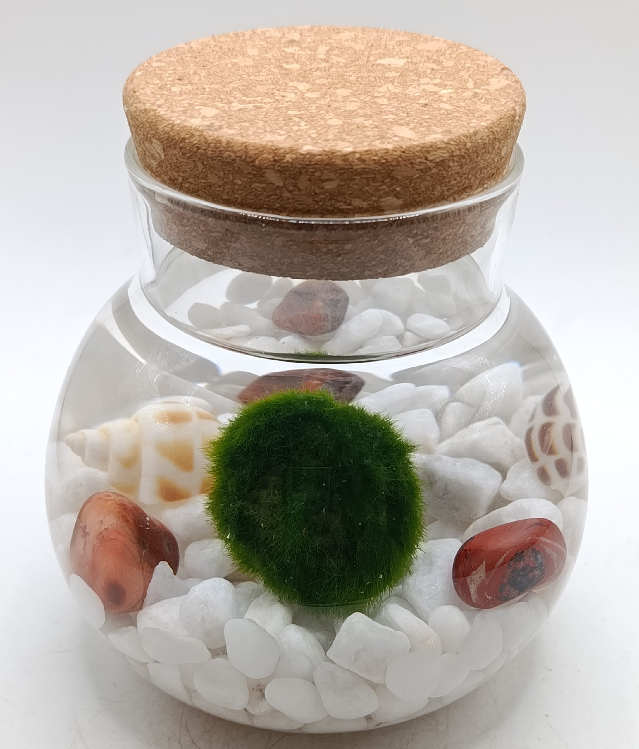 Kit marimo